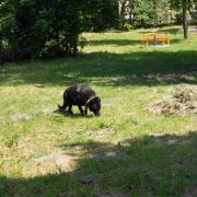 Didaktické hry - Materská škola Hečkova 13, Košice (19.05.2015)