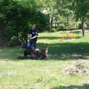 Didaktické hry - Materská škola Hečkova 13, Košice (19.05.2015)