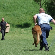 Didaktické hry a účelové cvičenie - ZŠ Janigova 2 (31.5.2016)