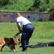 Didaktické hry a účelové cvičenie - ZŠ Janigova 2 (31.5.2016)