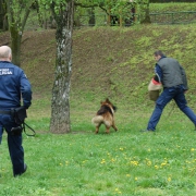 Didaktické hry - MŠ Tatranská 23, Košice (28.4.2017)