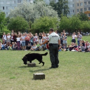 Účelové cvičenie - ZŠ Bernolákova 18, Košice (23.6.2017)