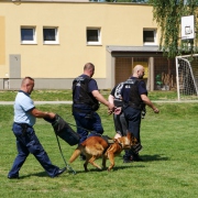 Účelové cvičenie - Liečebno-výchovné sanatórium, Tešedíkova 3 (9