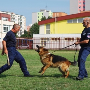 Účelové cvičenie - ZŠ Bernolákova 18 (21.6.2018)