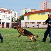 Účelové cvičenie - ZŠ Bernolákova 18 (21.6.2018)