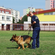 Účelové cvičenie - ZŠ Bernolákova 18 (21.6.2018)