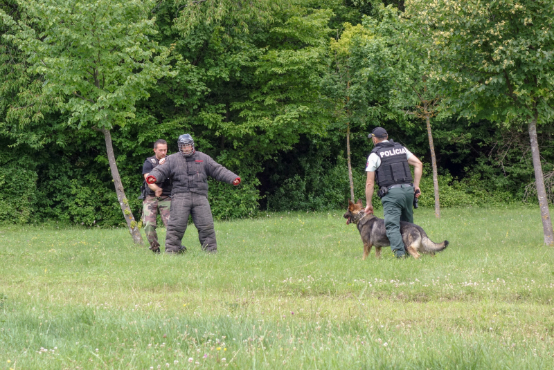 Prímestský tábor - Prameň sv. Ladislava (8.7.2020)