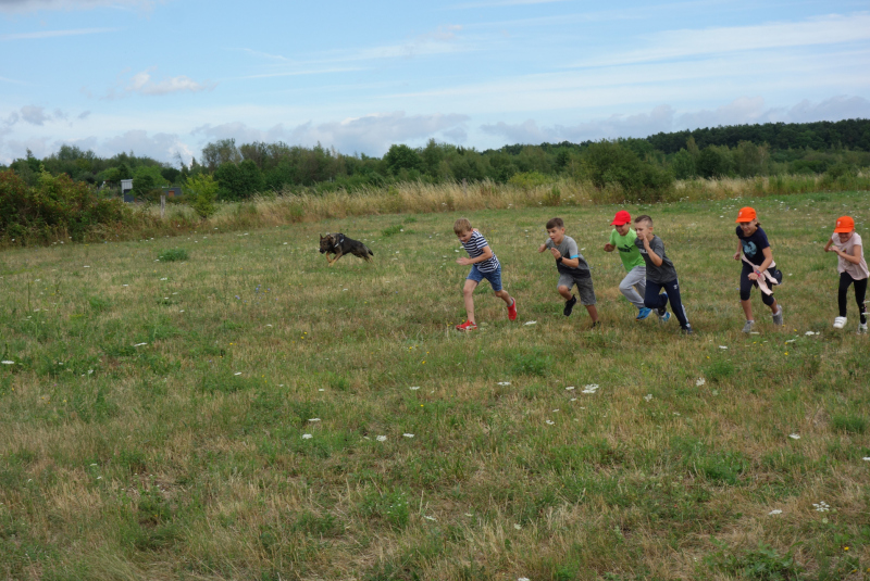 Didaktické hry - MČ Košice Šaca (15.07.2022)