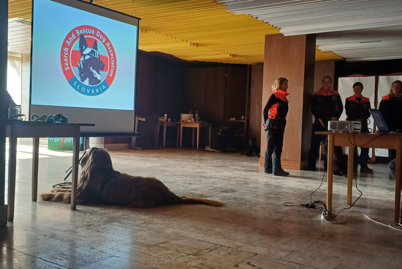 Deň 112 (11.2.2025)