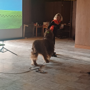 Deň 112 (11.2.2025)