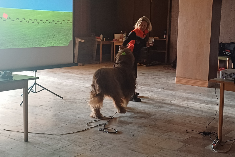 Deň 112 (11.2.2025)