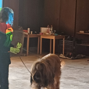 Deň 112 (11.2.2025)