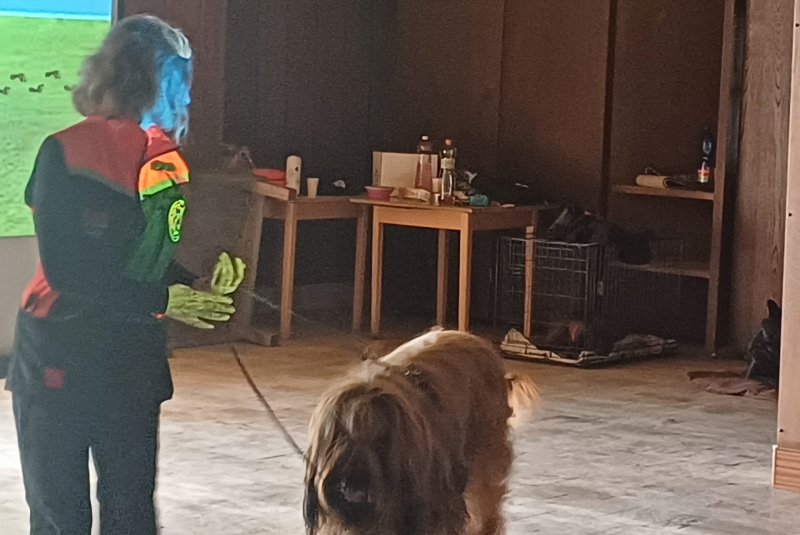 Deň 112 (11.2.2025)