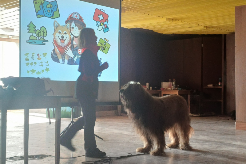 Deň 112 (11.2.2025)