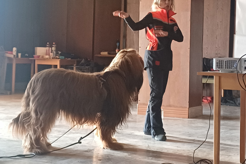 Deň 112 (11.2.2025)