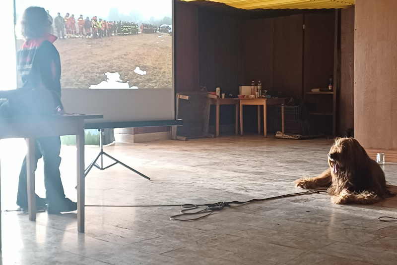 Deň 112 (11.2.2025)