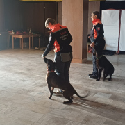 Deň 112 (11.2.2025)