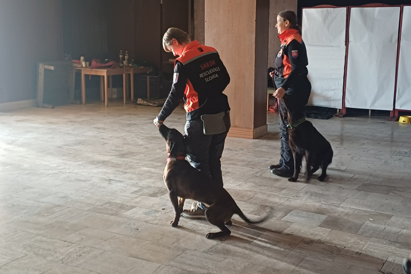 Deň 112 (11.2.2025)