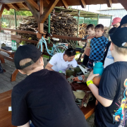 Liečebné sanatórium, Tešedíkova ul. Barca (13.6.2025)