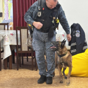 Účelové cvičenie - MŠ Cottbuská 34 (18.11.2025)